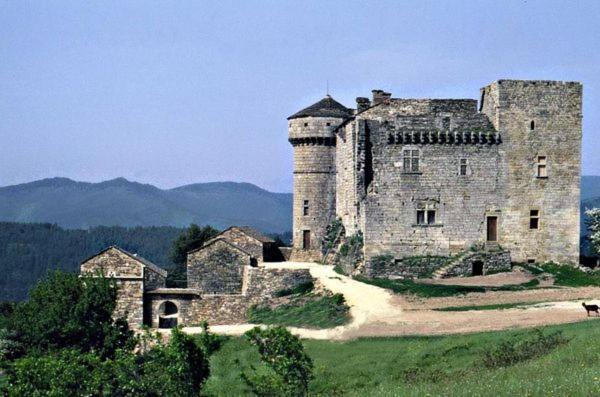 Gites En Cevennes "Chez Steloune" Genolhac Exterior foto